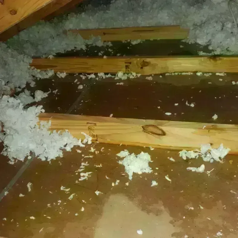 Attic Water Damage in Terra Alta, WV